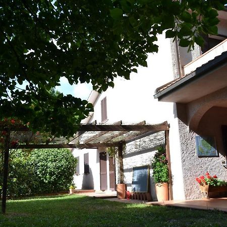 Agriturismo Piana Arborello Hotel Magliano in Toscana Luaran gambar