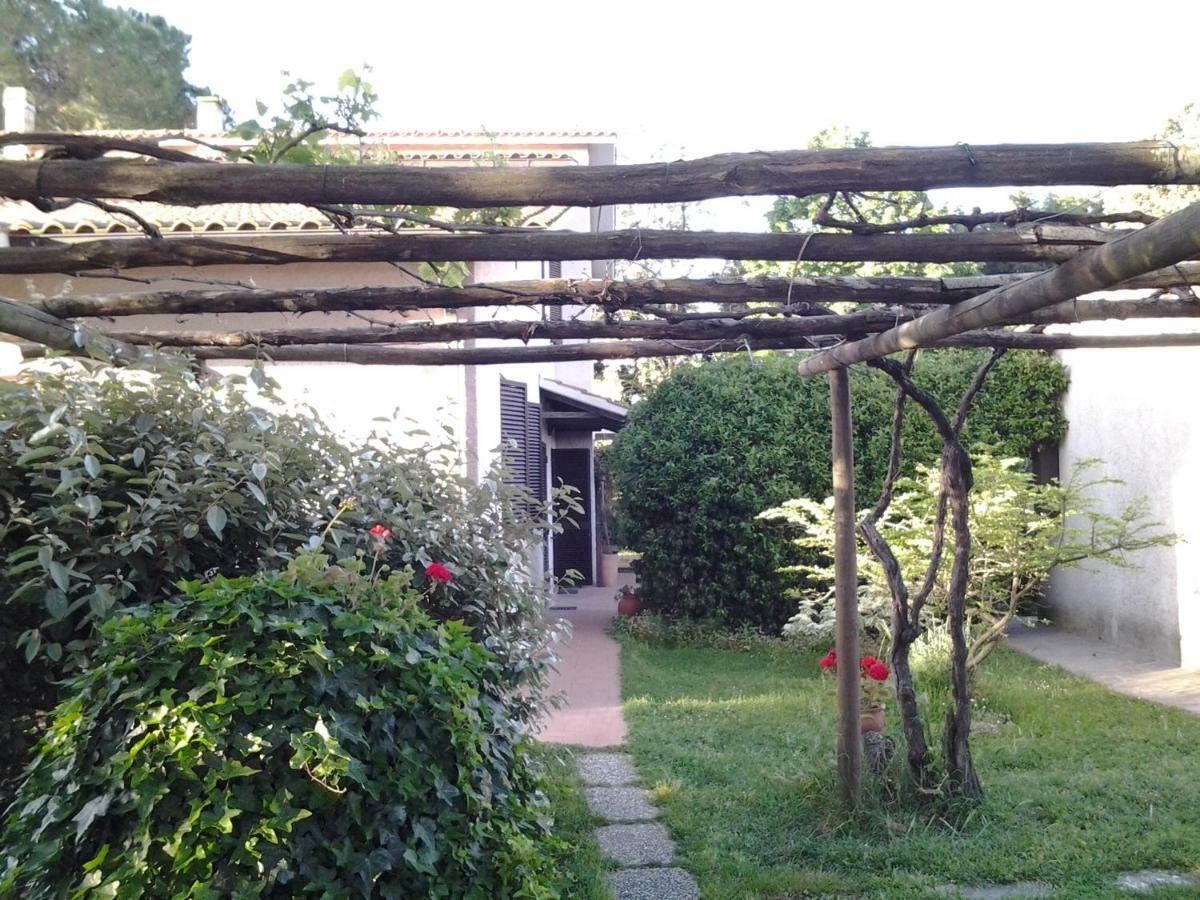 Agriturismo Piana Arborello Hotel Magliano in Toscana Luaran gambar
