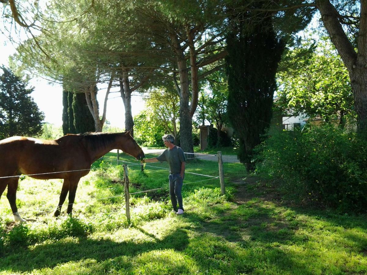 Agriturismo Piana Arborello Hotel Magliano in Toscana Luaran gambar