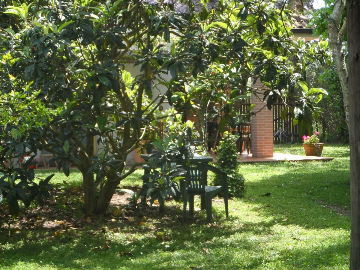 Agriturismo Piana Arborello Hotel Magliano in Toscana Luaran gambar