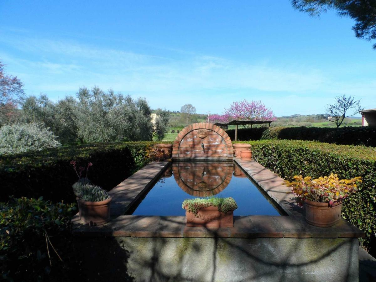 Agriturismo Piana Arborello Hotel Magliano in Toscana Luaran gambar