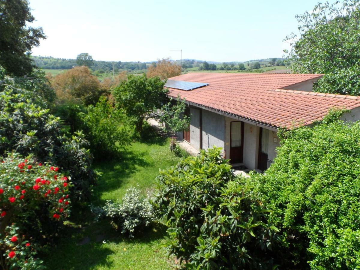 Agriturismo Piana Arborello Hotel Magliano in Toscana Luaran gambar