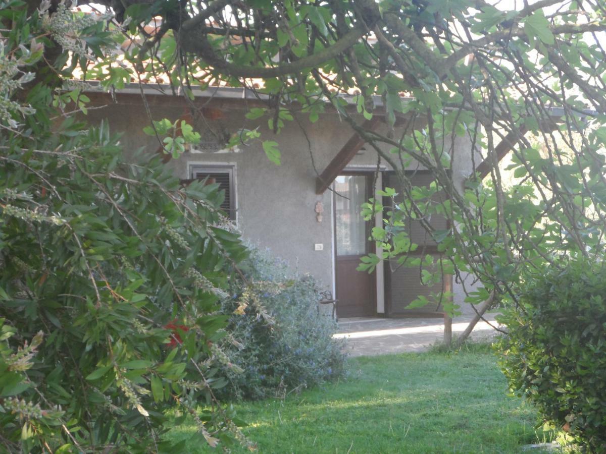 Agriturismo Piana Arborello Hotel Magliano in Toscana Luaran gambar