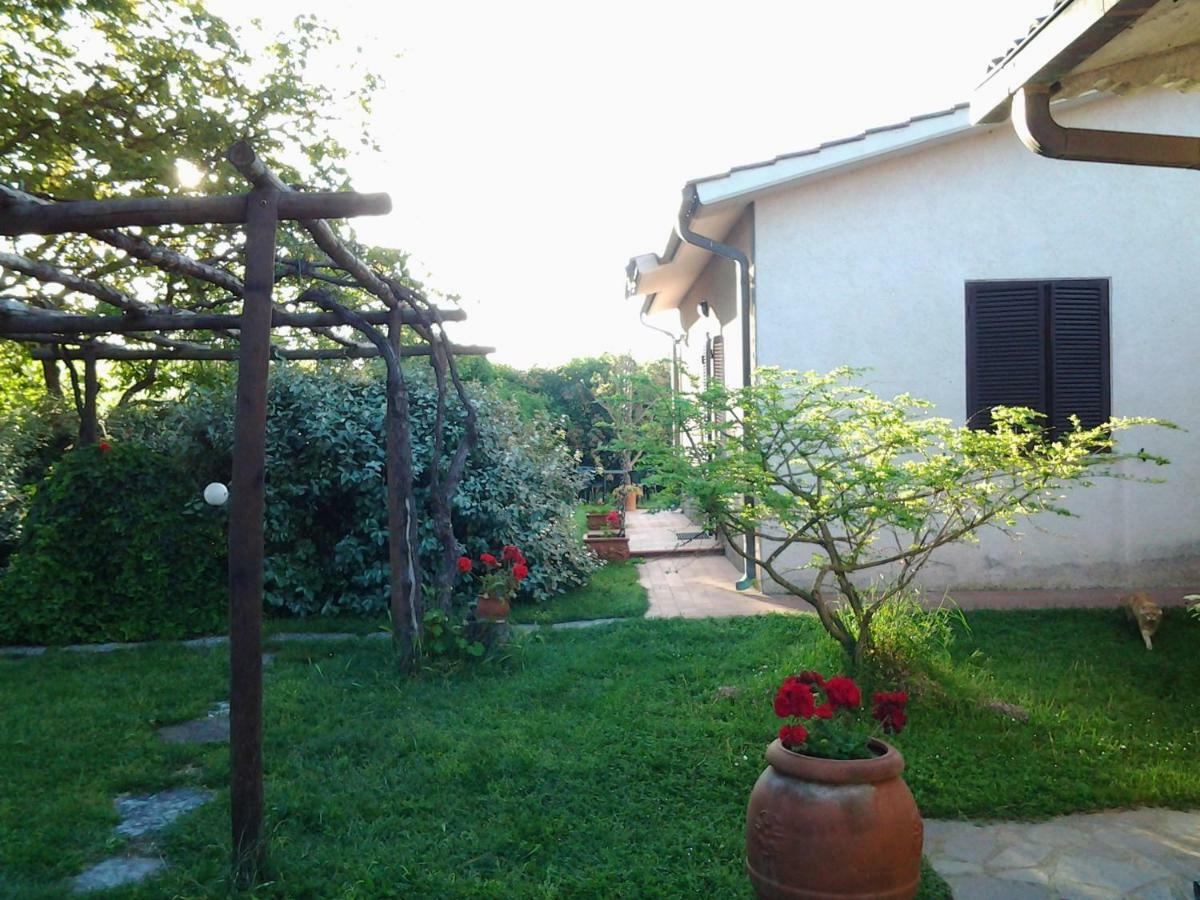 Agriturismo Piana Arborello Hotel Magliano in Toscana Luaran gambar