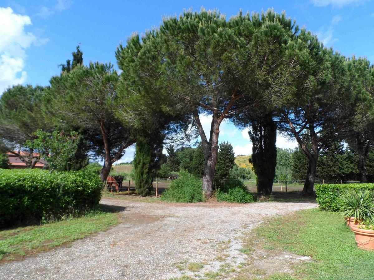 Agriturismo Piana Arborello Hotel Magliano in Toscana Luaran gambar