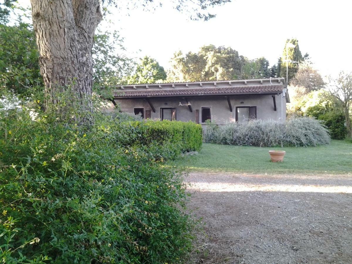 Agriturismo Piana Arborello Hotel Magliano in Toscana Luaran gambar