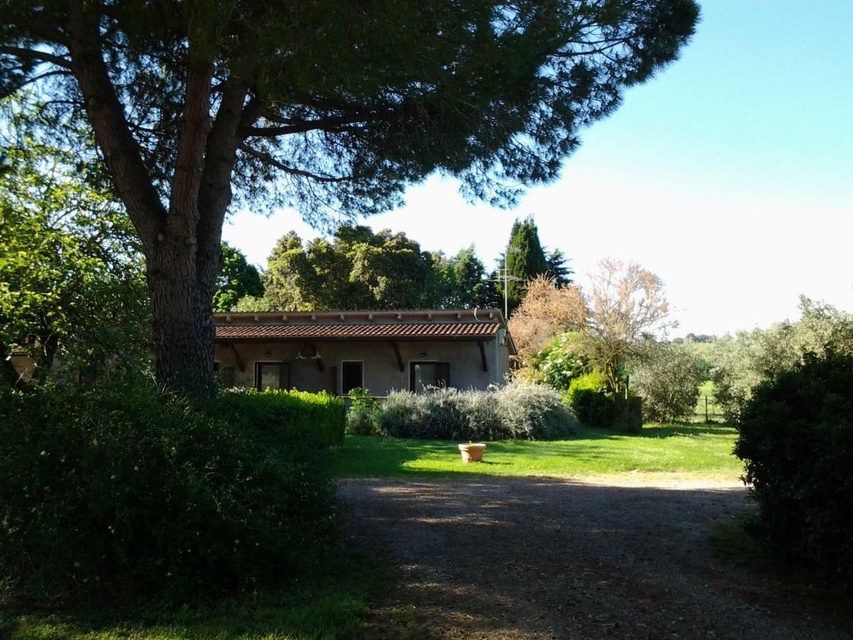 Agriturismo Piana Arborello Hotel Magliano in Toscana Luaran gambar