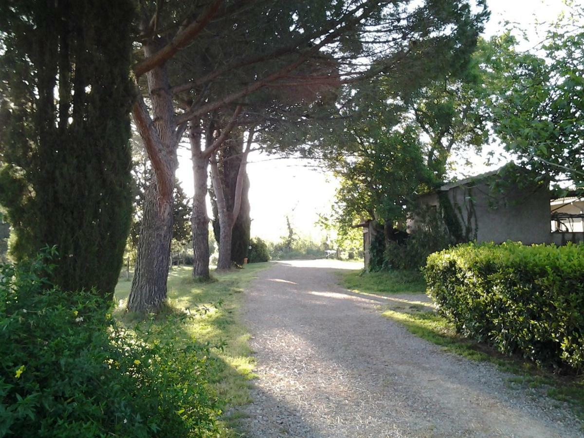 Agriturismo Piana Arborello Hotel Magliano in Toscana Luaran gambar