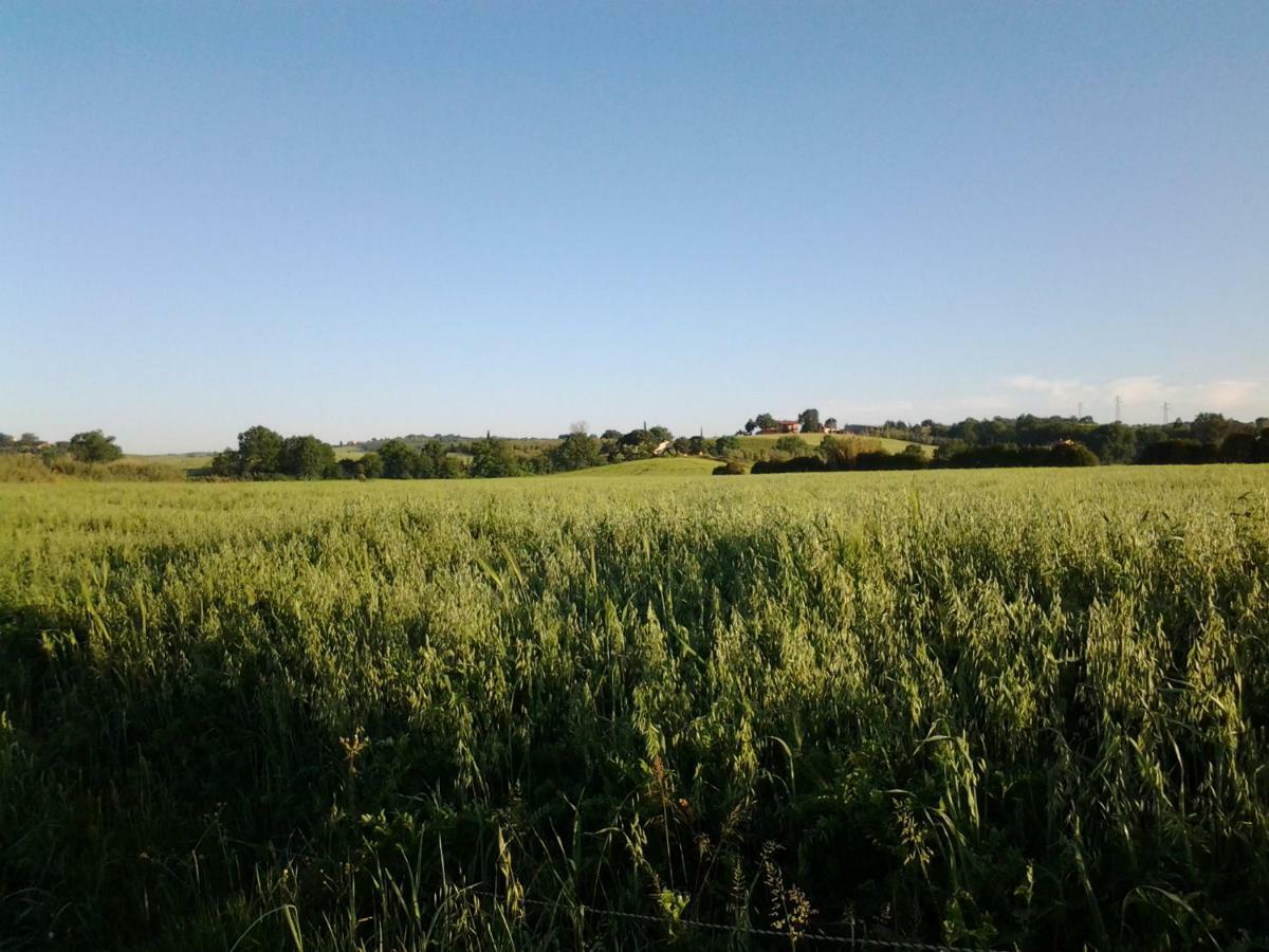 Agriturismo Piana Arborello Hotel Magliano in Toscana Luaran gambar