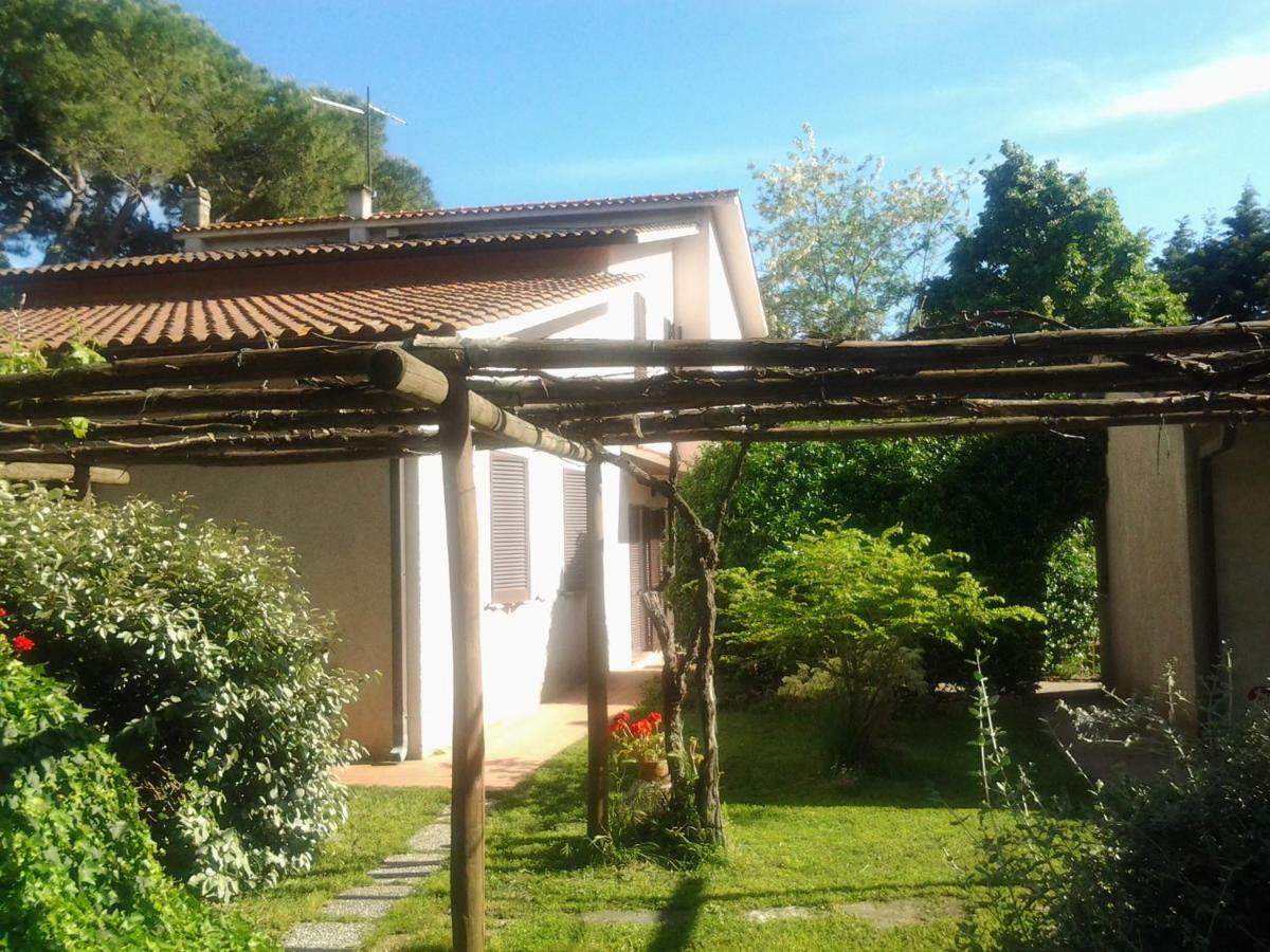 Agriturismo Piana Arborello Hotel Magliano in Toscana Luaran gambar