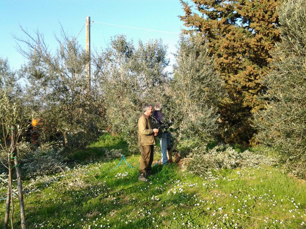 Agriturismo Piana Arborello Hotel Magliano in Toscana Luaran gambar